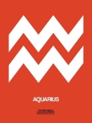 NAXART Studio - Aquarius Zodiac Sign White on Orange