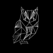 NAXART Studio - Owl Polygon