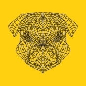 NAXART Studio - Pug Head Yellow Mesh