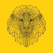 NAXART Studio - Lion Head Yellow Mesh