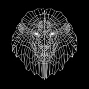 NAXART Studio - Lion Head Black Mesh