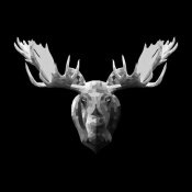 NAXART Studio - Moose Head
