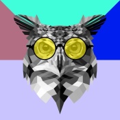 NAXART Studio - Owl in Yellow Glasses