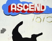 NAXART Studio - Ascend